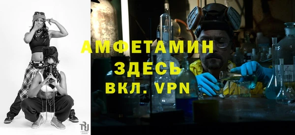 крисы Вязьма