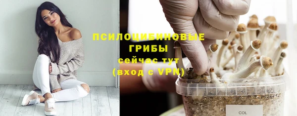 соль ск Вязники