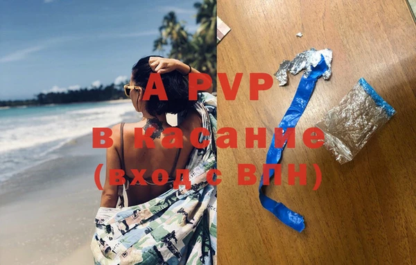 крисы Вязьма
