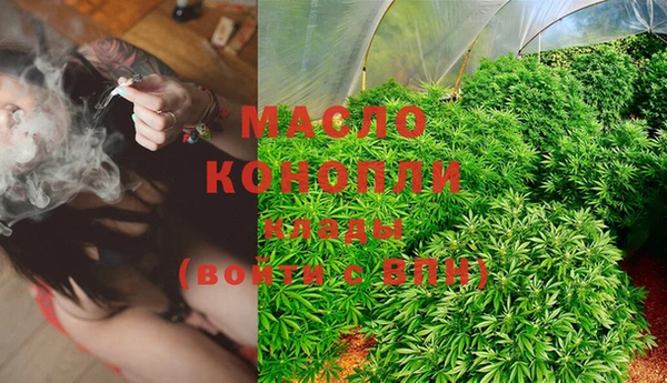 крисы Вязьма