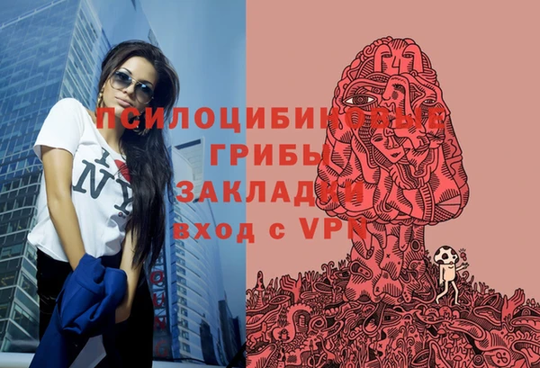 соль ск Вязники
