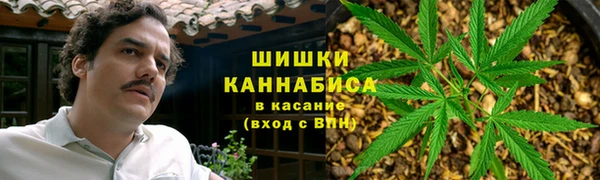 крисы Вязьма